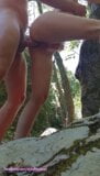 Creampie, baise en plein air snapshot 6