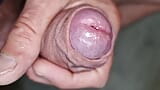 I play with wet glans, precum close-up with huge cumshot trying not to cum snapshot 7