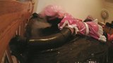 Sissy Slut Spread Eagle snapshot 20