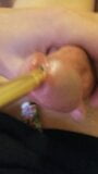 Gaping my urethra cock hole snapshot 1