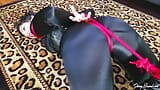 Sahrye spandeks hogtie snapshot 3