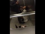 Feeding her sperm in an elevator snapshot 4