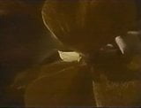 Classico - 1970 - Mona parte 1 snapshot 9