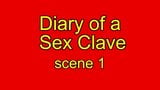 Tagebuch einer Sexsklaven-Szene 1 snapshot 1