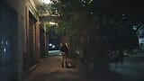 Risky public sex outdoors flashing her pussy on the streets of Argentina snapshot 2