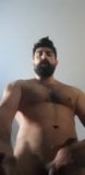 Strong hairy bear Wank and Jerking snapshot 1