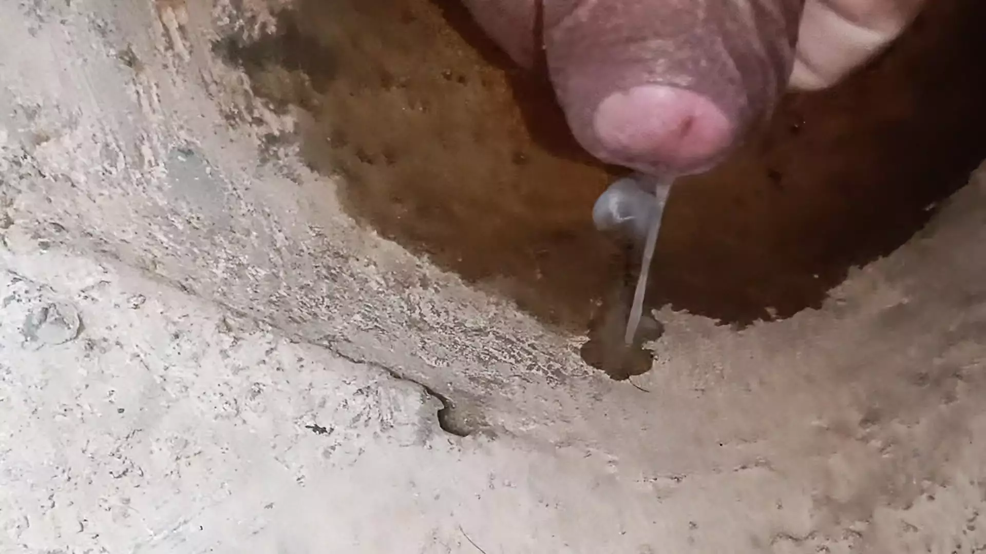 Fizess a testeddel