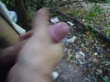 Wood Wank snapshot 9