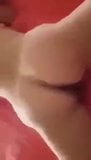 Warda | xHamster
