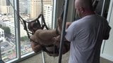 Daddy bear and cub have fun in sling snapshot 1