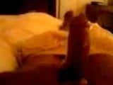 Wank the cock snapshot 6