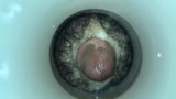 Demi vagina (rekaman langka) snapshot 2