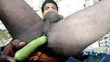 Desi groenten seksvideo Bihari snapshot 11