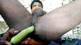 desi grönsak sex video bihari snapshot 11