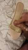 Step Moms old heels 1 snapshot 2