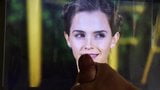 Homenaje a Emma Watson snapshot 7