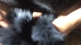 Fox fur masturbation and cum on fur - fur fetish - fur sex snapshot 7