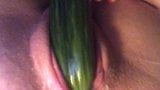 Komkommer glijdt tussen mijn gezwollen natte poesjeslipjes snapshot 9