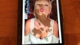 Taylor swift致敬30 snapshot 5