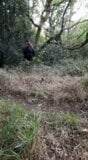 在树林里玩弄我的奶子 snapshot 3