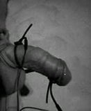 Tied cock electro torture snapshot 1