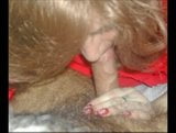 cocksucking tranny sluts slideshow snapshot 2