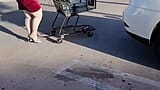 Conheci um estranho no estacionamento do supermercado que disse que era um paisagista.eu gosto de suas ferramentas elétricas e sementes (no carro) snapshot 7