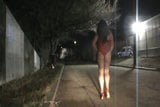 Street walking whore snapshot 2