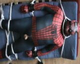 Spiderman gets a many touch and one enjoy snapshot 8