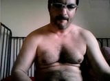 Hairy Bear snapshot 3