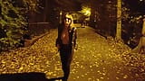 She flashing tits and undresses in a public park at night snapshot 1