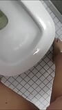 Eu faço uma bagunça em um banheiro público. snapshot 3