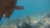 2 Croatia Kolan underwater Fkk - Horvatorszag Kolan snapshot 4