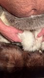 the fox fur pant and the cummed beaver fur snapshot 3