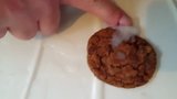 Cum covered chocolate cookie, task for Master roundpound snapshot 9