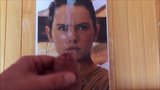 Tribute Daisy Ridley snapshot 4