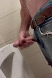 Öffentliche Masturbation mit Sperma im öffentlichen Badezimmer snapshot 3