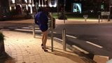 Crossdresser caught in public snapshot 8