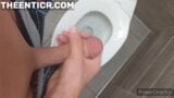 TheEnticr - Public Bathroom JerkOff snapshot 6