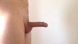 penis ereksiyon snapshot 10