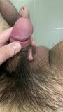 Small asian dick erect snapshot 2