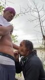 Exhib, Blowjob in Ford Lake Park snapshot 1