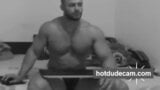 Muscular beefy young guy snapshot 5