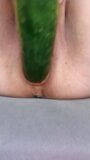 Ftm masturbates hairless noisy pussy with a cucumber close up. snapshot 1