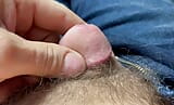 Tiny micro-penis fully hard snapshot 2