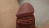 Dick snapshot 2