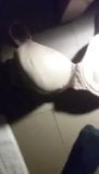 au nt fave bra snapshot 4