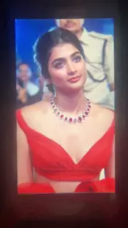 Cum on Pooja Hegde 4: Indian Asian Asian Porn | xHamster
