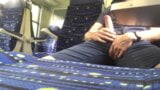 Paja en el tren en Suiza snapshot 8