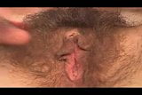 Broke hairy pussy big lips snapshot 6